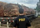 PRF apreende aproximadamente 267 m³ de madeira ilegal na BR 174
