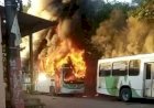 Quatorze ônibus foram incediados neste domingo em Manaus