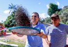 Deputado João Luiz envia anteprojeto de Lei ao Governo do Estado indicando a implantação do cultivo do café clonal no Amazonas