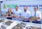 Deputada Débora Menezes acompanha distribuição de pescado, pelo Governo do Amazonas, a instituições assistenciais