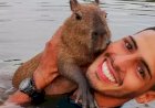 Capivara Filó é entregue a influenciador de redes sociais do AM