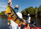 Temporada de pesca esportiva deve atrair 30 mil turistas ao Amazonas