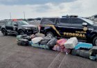 PF apreende quase duas toneladas de maconha