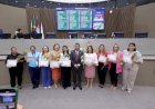Em maioria, mulheres movimentam funções e cargos de importância no parlamento municipal
