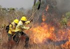 Governo Federal agiliza recontratação de profissionais para combate a incêndios