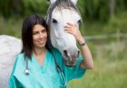 1ª Semana das Ligas Acadêmicas de Medicina Veterinária da UNINORTE