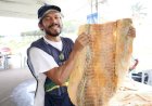 Governo do Amazonas comercializa mais de 100 toneladas de peixes na primeira edição especial do Feirão do Pescado em Manaus