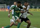 Palmeiras e Botafogo jogam por liderança do Campeonato Brasileiro