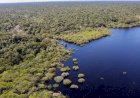 Fundo JPA destina R$ 700 mil a projetos de impacto socioambiental na Amazônia Legal