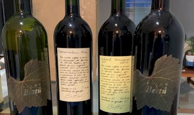 Aventura no mundo dos vinhos - Vinícola Bettú