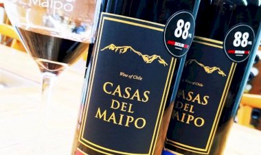 Importadora de vinhos exclusivos chega a Manaus