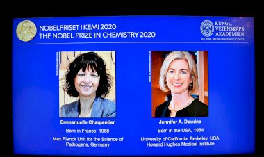 Duas cientistas vencem Nobel de Química por pesquisa com genoma