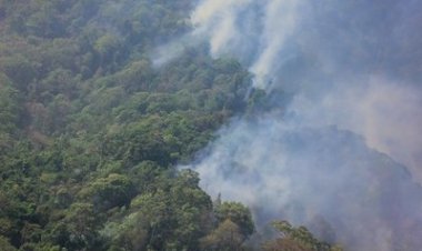MPF e MPC/AM recomendam contratação de brigadistas para  fiscalização para combate a queimadas no AM