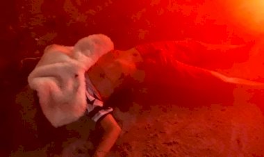 Homem é executado a tiros no Crespo