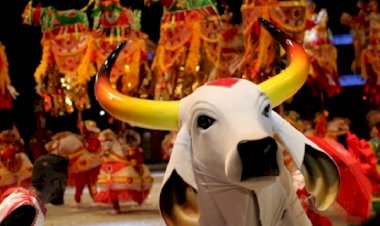 Boi Garantido fará apresentação para o vice-presidente da República e comitiva internacional em Manaus