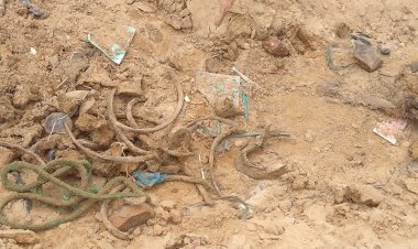 Ossada humana é encontrada nas proximidades da Manaus Moderna