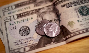 Dólar tem dia de volatilidade com feriado nos EUA, mas fecha estável