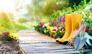 Atividades alternativas ajudam a driblar o estresse e promovem o bem-estar em tempos de crise