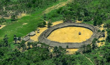 Povos indígenas e comunidades tradicionais são os melhores guardiões das florestas da América Latina