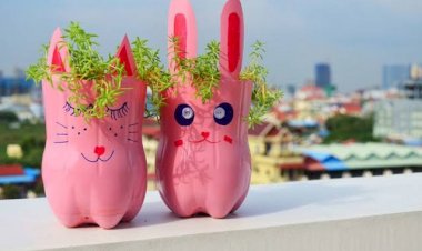 Ocupação Cultural promove ação de inclusão em abrigos de Manaus