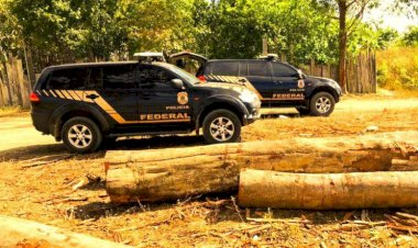 Justiça libera madeira apreendida pela PF que gerou atrito entre delegado e Salles