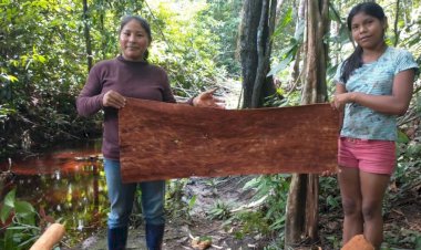 Projeto tenta resgatar cultura de comunidade em São Gabriel da Cachoeira