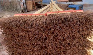 Wilson Lima inclui piaçava no programa estadual de subvenção aos extrativistas