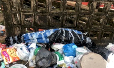 Corpo de mulher é encontrado em lixeira na Compensa