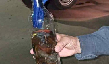 Polícia detém homem com armas incendiárias improvisadas, no Careiro da Várzea