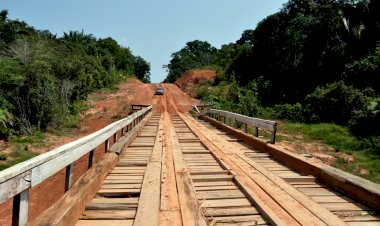 Nota Técnica mostra como a pandemia afetou a economia em unidades de conservação na BR-319