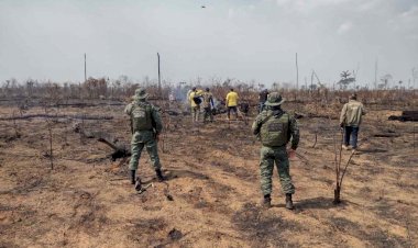 Operação Tamoiotatá fiscaliza oito locais com registro de crimes ambientais em Apuí e Humaitá