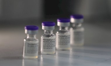 Governo do Amazonas recebe 32.760 doses de vacina contra Covid-19