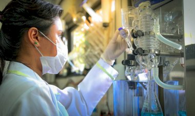 Inscrições prorrogadas: editais da Fapeam recebem propostas até o dia 10 de setembro