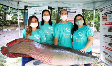Com apoio da Fapeam, exposição virtual apresenta peixes nativos da Amazônia e portas abertas a laboratórios