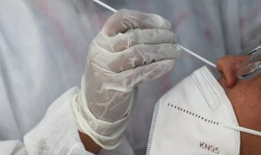 Cenário epidemiológico da Covid-19 no Amazonas é divulgado pela FVS-RCP, nesta sexta-feira (05/11)