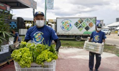 Programa de redução de desperdício do Governo do Estado coletou 155 toneladas de alimentos em 2021