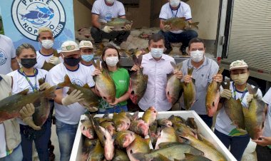 Em 2021, Governo do Amazonas distribuiu mais de 300 toneladas de pescado