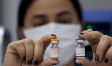 Amazonas recebe mais 96.900 doses de vacinas da Pfizer pediátrica e adultos nesta quarta-feira (26/01)