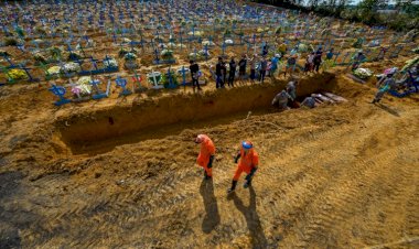 Comissão avalia políticas econômica, social e ambiental do governo Bolsonaro