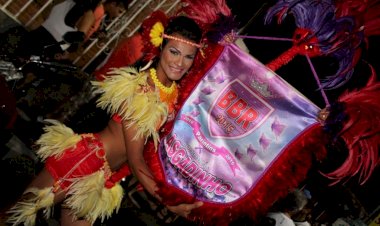 Além do azul e vermelho: conheça outros bois de Parintins