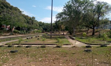 Requerimento de João Luiz é atendido e praça do Santos Dumont recebe serviços de limpeza