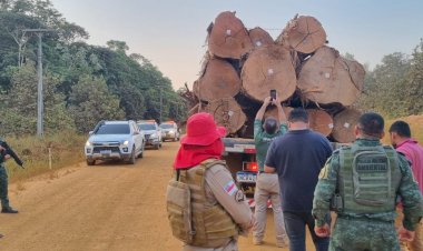 Operação Tamoiotatá aplicou R$ 10 milhões em multas por crimes ambientais no sul do AM