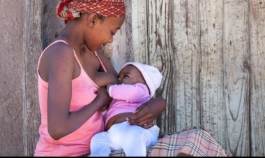 Amamentar antes dos 30 anos reduz em até 30% os riscos de se desenvolver o câncer de mama