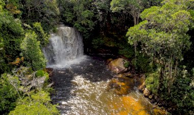 Semana da Pátria: dicas para aproveitar feriado prolongado no Amazonas