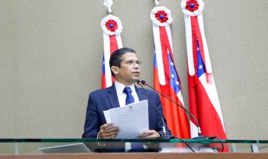 PL desenvolvido pelo deputado João Luiz pretende implantar site Maria da Penha Online no AM