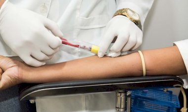 Doenças do sangue: leucemia é o câncer mais frequente presente na população amazonense