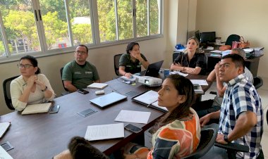 Idam, Ipaam e Sema definem direcionamento de trabalho para projetos ‘Paisagens Sustentáveis’ e ‘ProjeCAR’