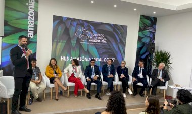 Amazonas assina carta de intenção com a Coalizão Leaf para negociar novos créditos de carbono