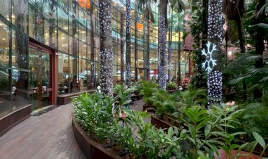 ‘Deck Buritizal’ reabre ao público com novidades no Manauara Shopping