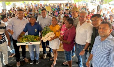 Pavimentação de ramal da AM-254 traz benefícios a produtores atendidos pelo Idam